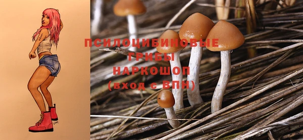 МДПВ Алексин