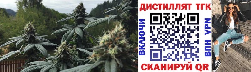 Дистиллят ТГК концентрат  продажа наркотиков  ссылка на мегу   Балашиха 