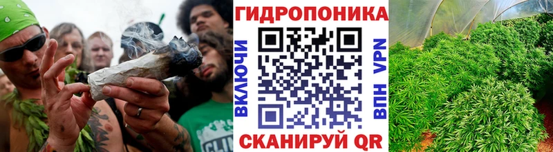 Бошки марихуана тримм  Балашиха 